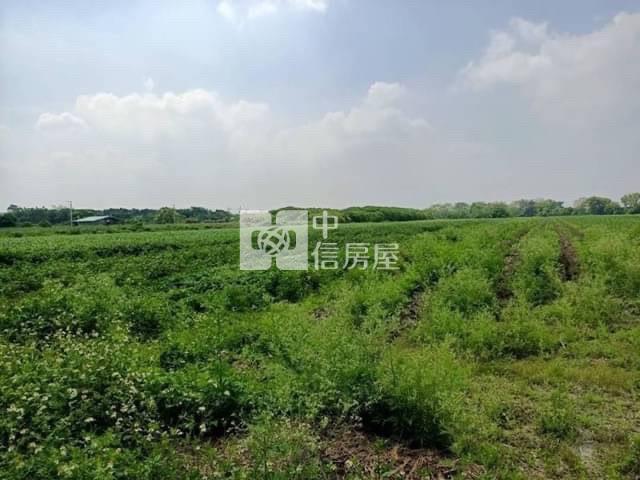 善化區台19甲方正美農地房屋室內格局與周邊環境