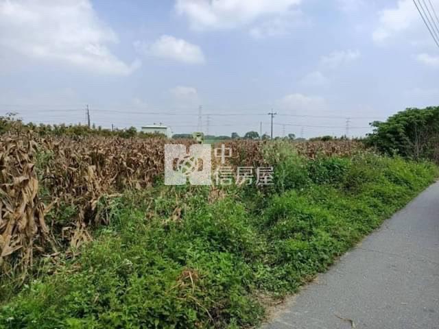 善化區台19甲方正美農地房屋室內格局與周邊環境