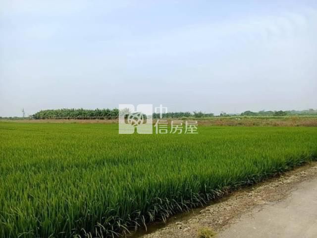 善化區台19甲方正美農地房屋室內格局與周邊環境