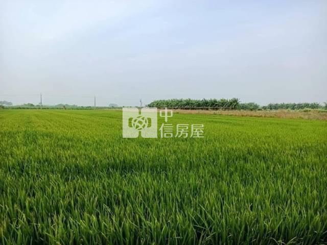 善化區台19甲方正美農地房屋室內格局與周邊環境