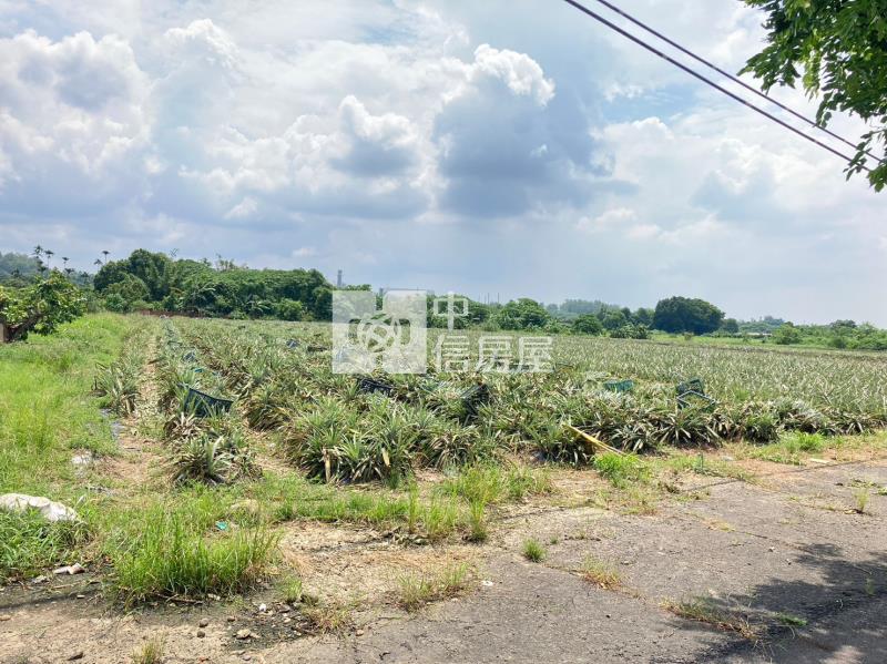 山上區正路面農地房屋室內格局與周邊環境