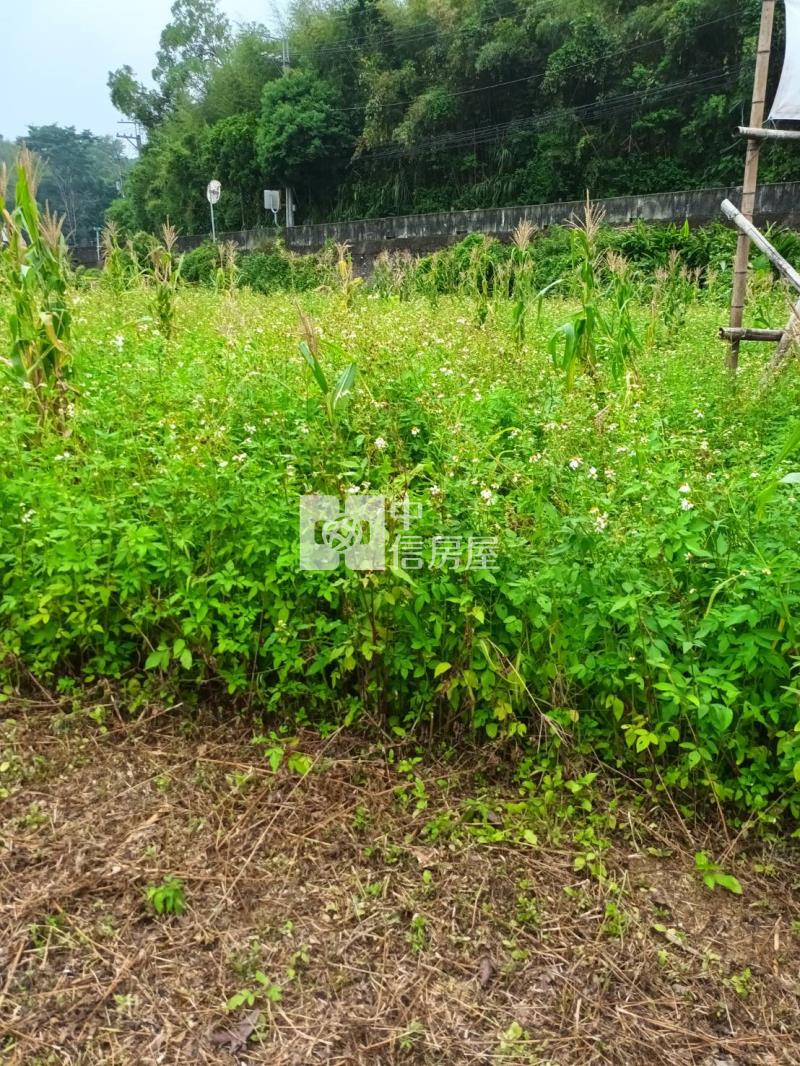 277.桃園復興三民農地【中信房屋新莊 幸福加盟店】房屋室內格局與周邊環境