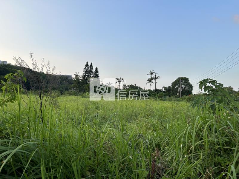 苗栗大湖有路便宜果園農地房屋室內格局與周邊環境