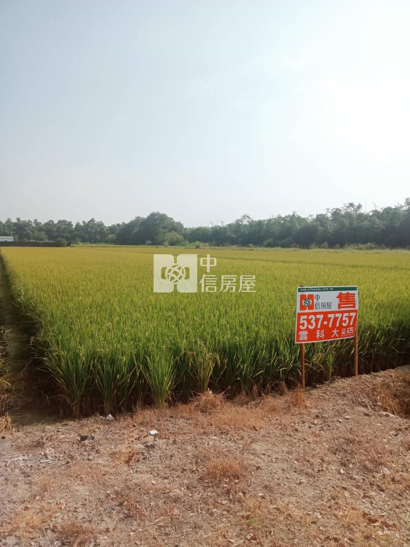 斗南158乙農地房屋室內格局與周邊環境