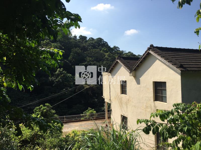 南投八卦路旁農地+透天房屋室內格局與周邊環境