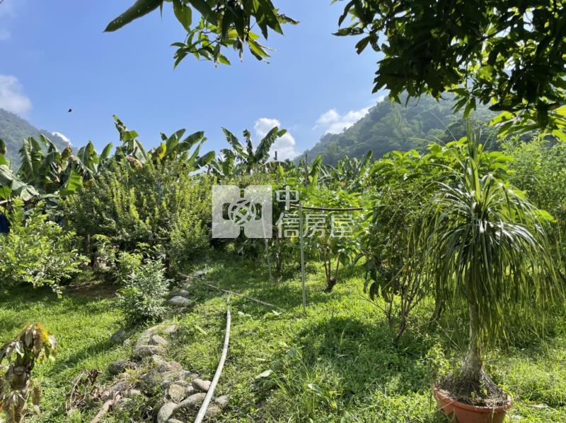 國姓開心農場房屋室內格局與周邊環境