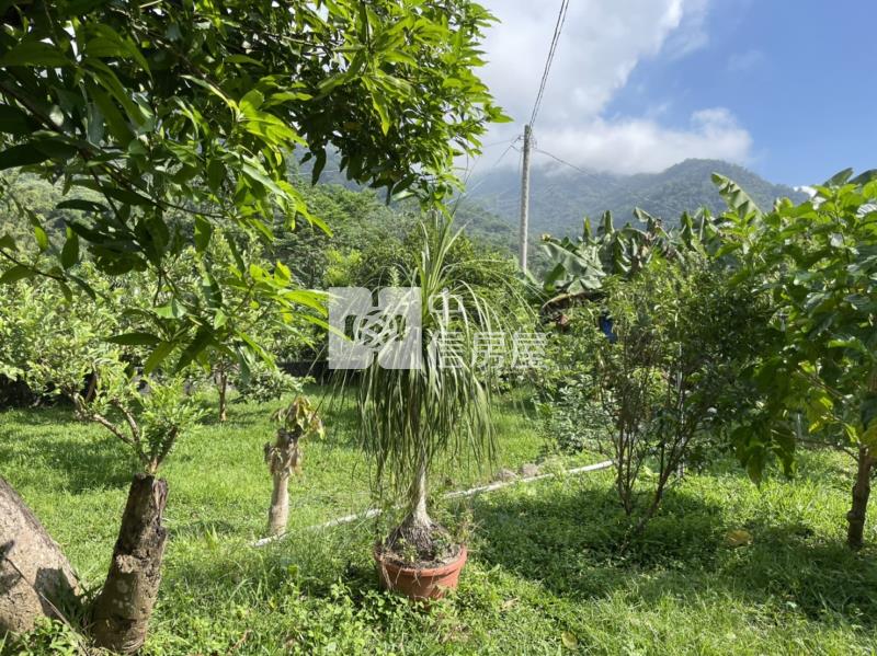 國姓開心農場房屋室內格局與周邊環境