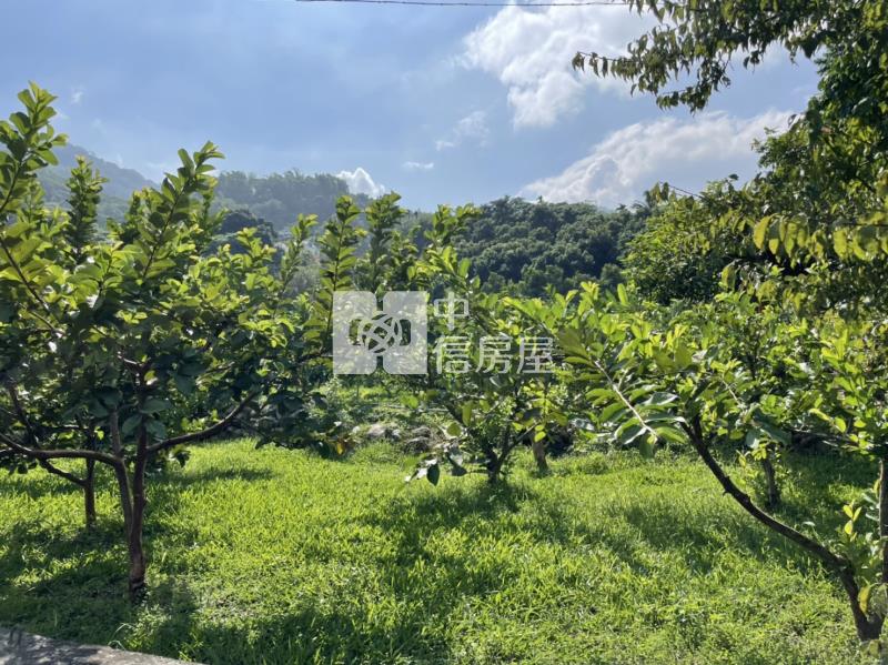 國姓開心農場房屋室內格局與周邊環境