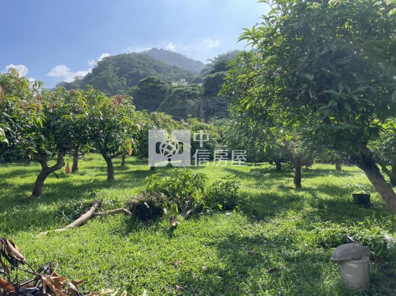 國姓開心農場房屋室內格局與周邊環境