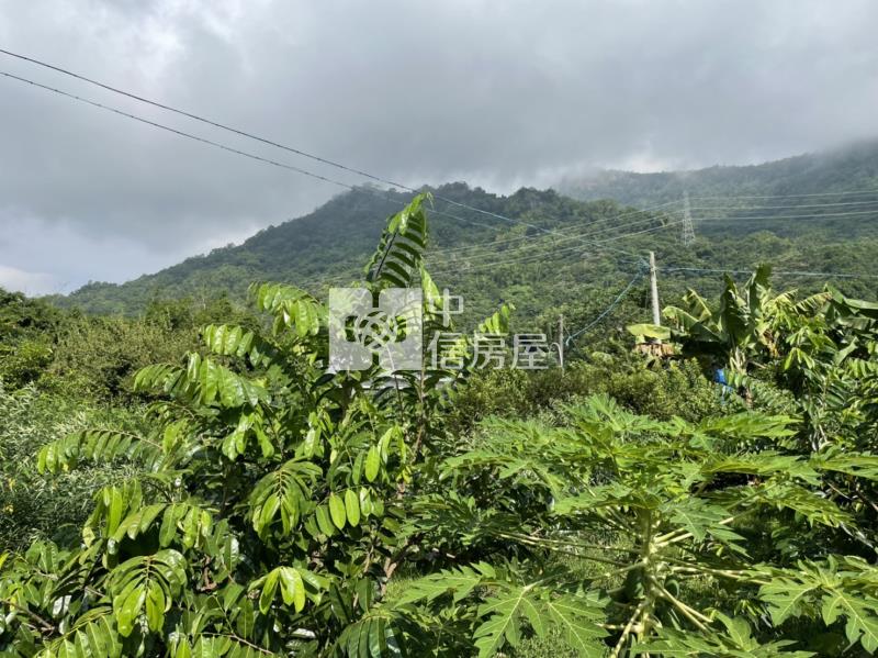 國姓開心農場房屋室內格局與周邊環境