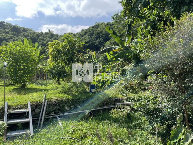 國姓開心農場房屋室內格局與周邊環境