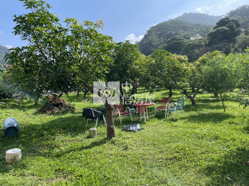 國姓開心農場房屋室內格局與周邊環境