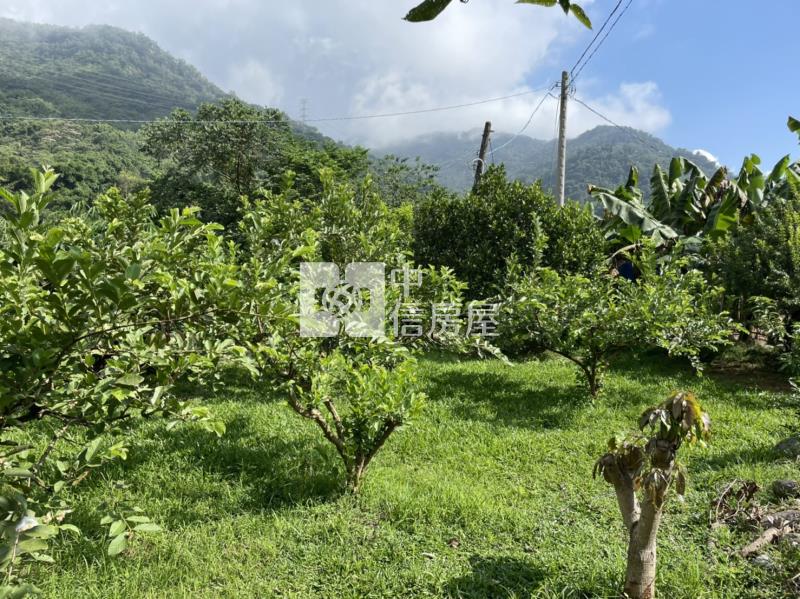 國姓開心農場房屋室內格局與周邊環境