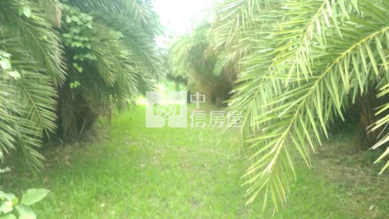 B64-美山美的冒泡房屋室內格局與周邊環境