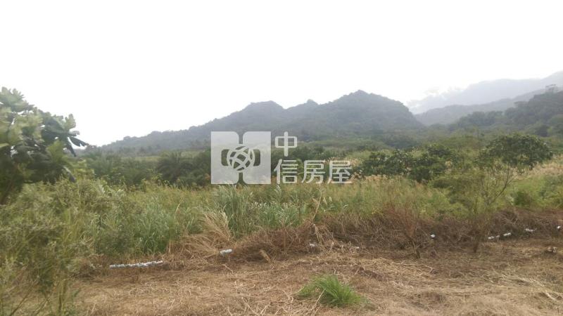 B64-美山美的冒泡房屋室內格局與周邊環境