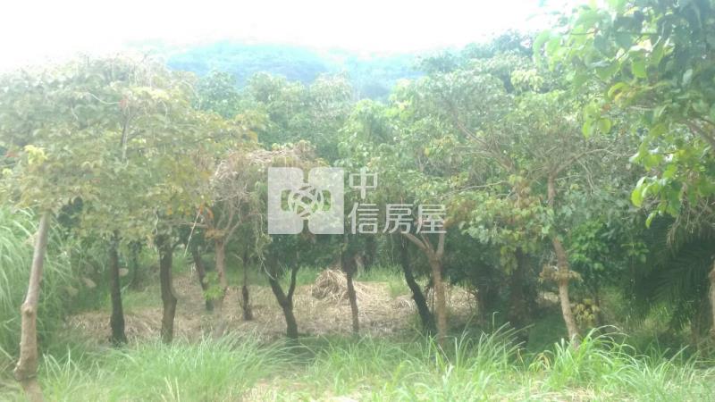 B64-美山美的冒泡房屋室內格局與周邊環境