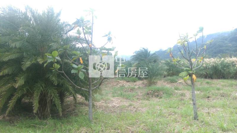 B64-美山美的冒泡房屋室內格局與周邊環境