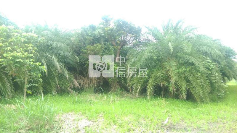 B64-美山美的冒泡房屋室內格局與周邊環境