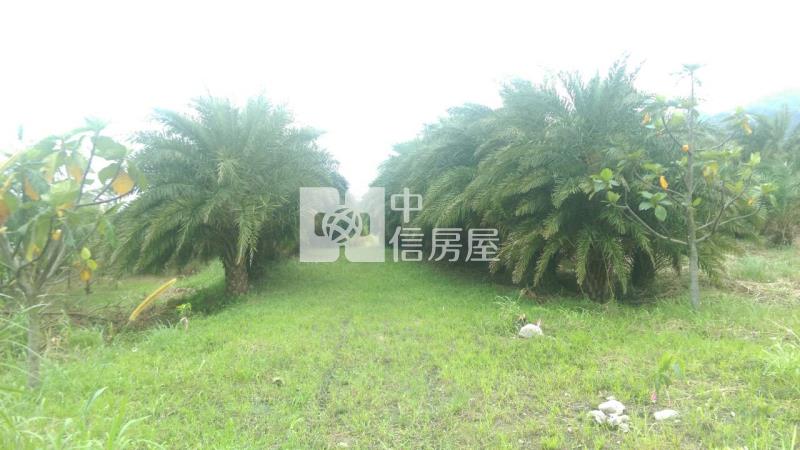 B64-美山美的冒泡房屋室內格局與周邊環境