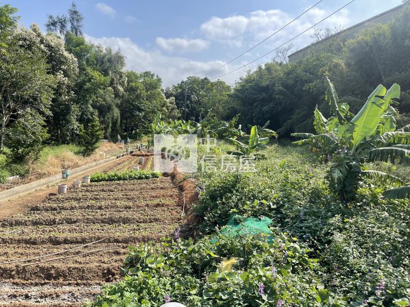 大崙-12米路樂活農地房屋室內格局與周邊環境