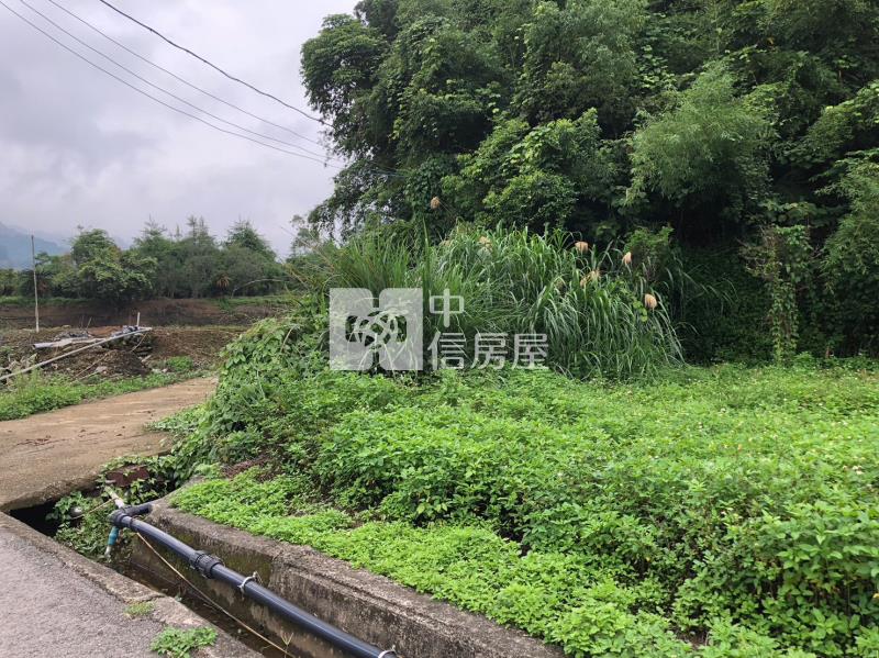 獅潭台三線美林地房屋室內格局與周邊環境