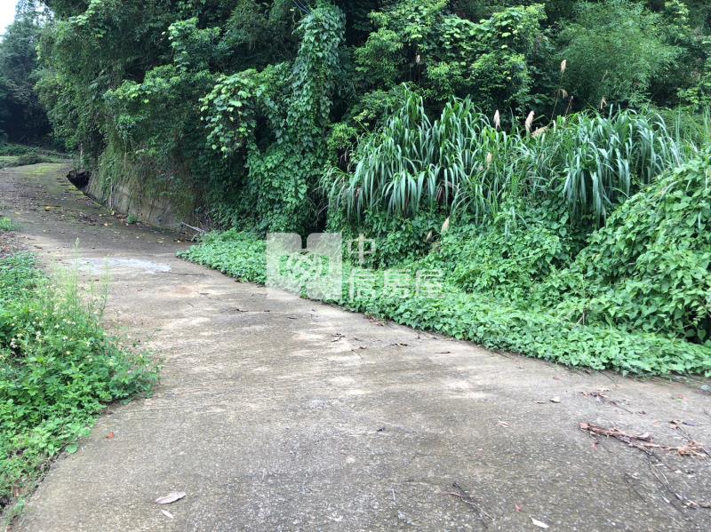獅潭台三線美林地房屋室內格局與周邊環境