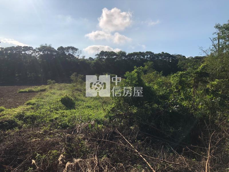獨賣-近湖口交流道農地房屋室內格局與周邊環境