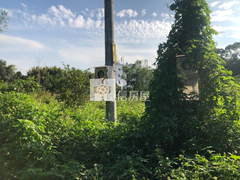 獨賣-近湖口交流道農地房屋室內格局與周邊環境