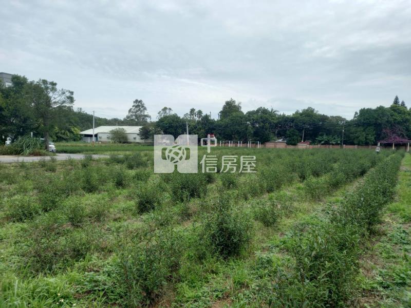 石管局美農地房屋室內格局與周邊環境