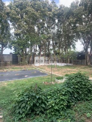 新屋大地坪稀有一手合法農舍房屋室內格局與周邊環境