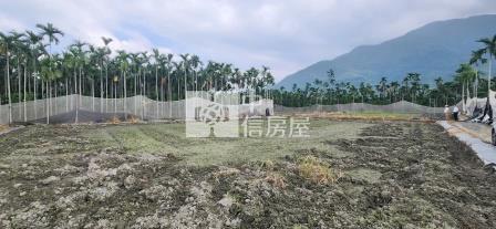 屏東土地 高樹山嵐清境農地房屋室內格局與周邊環境