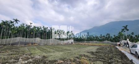 屏東土地 高樹山嵐清境農地房屋室內格局與周邊環境