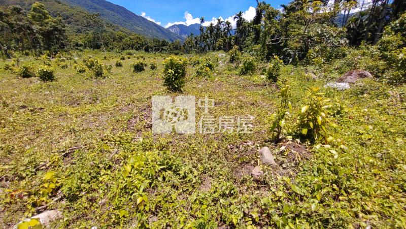 鳳林超值地大農地房屋室內格局與周邊環境