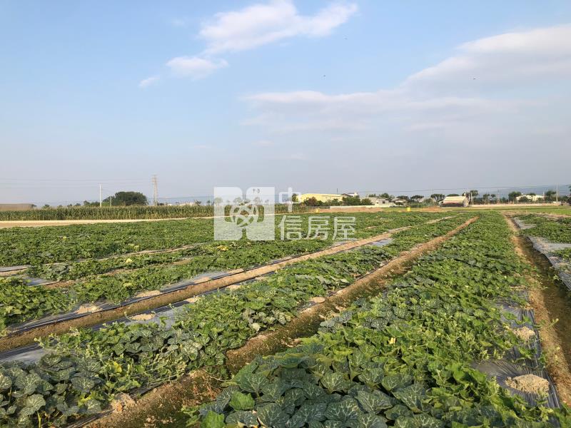 萬年路大地坪農地I房屋室內格局與周邊環境