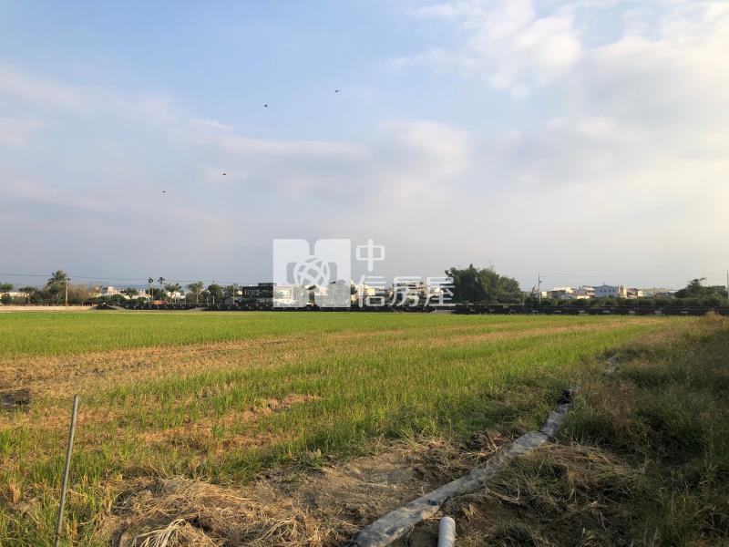 萬年路大地坪農地I房屋室內格局與周邊環境