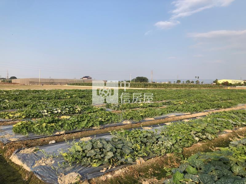 萬年路大地坪農地I房屋室內格局與周邊環境