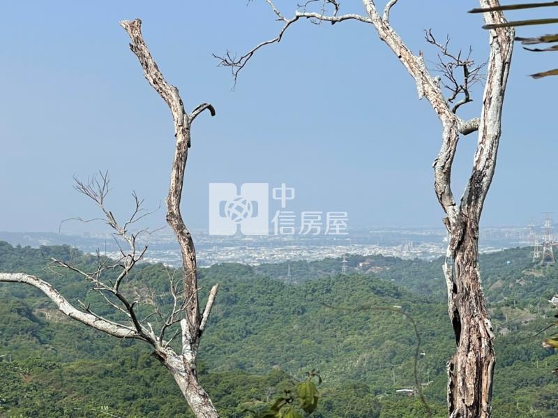 霧峰坑口.兩千坪.(祕境).休閒開心農場~有大平台~有渡假小屋~有水~有電~車可達~房屋室內格局與周邊環境