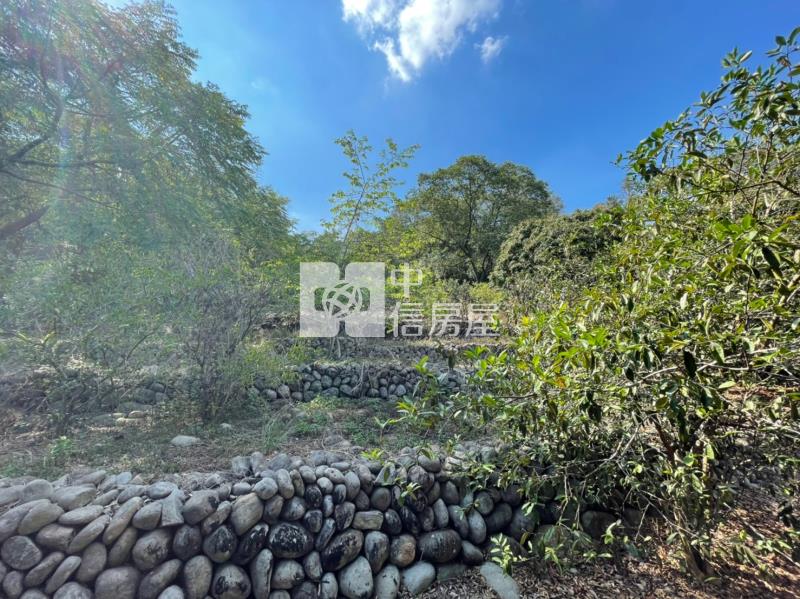(每坪不到1萬)新社.臨路.開心農場房屋室內格局與周邊環境
