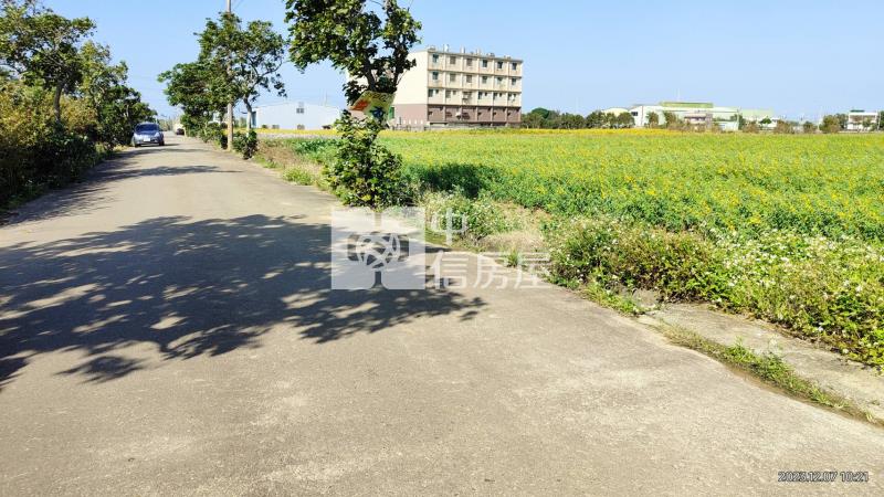 低單價!新屋大面寬方正農地房屋室內格局與周邊環境