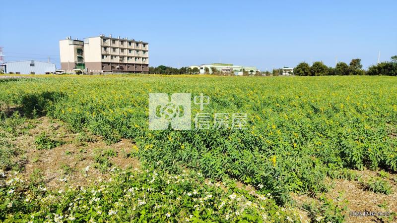 低單價!新屋大面寬方正農地房屋室內格局與周邊環境