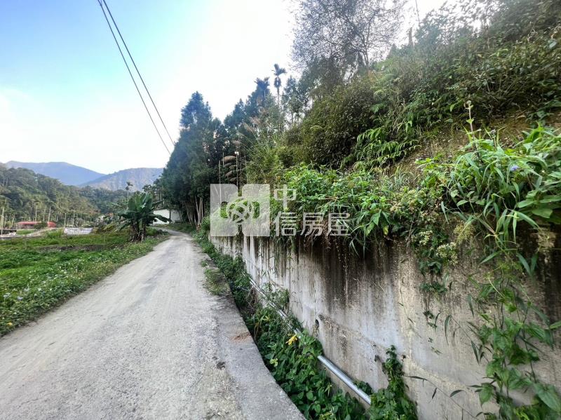 魚池小農地房屋室內格局與周邊環境