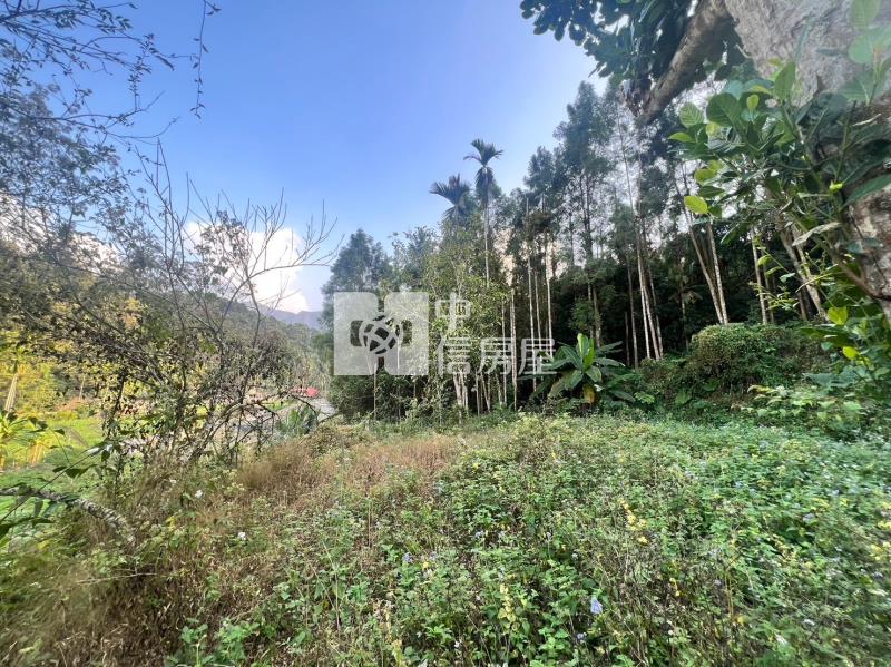 魚池小農地房屋室內格局與周邊環境