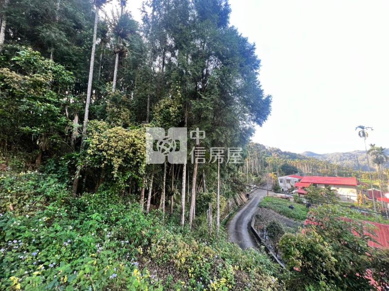 魚池小農地房屋室內格局與周邊環境