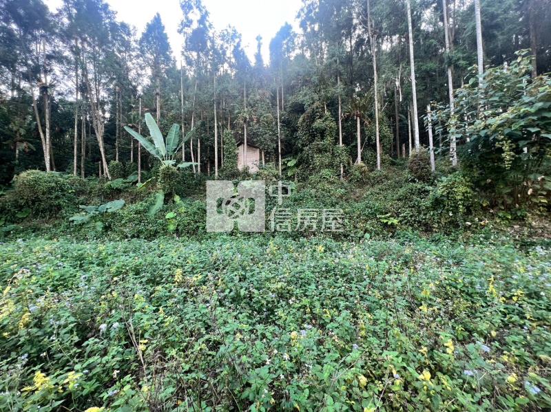 魚池小農地房屋室內格局與周邊環境