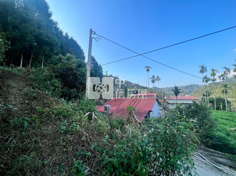 魚池小農地房屋室內格局與周邊環境