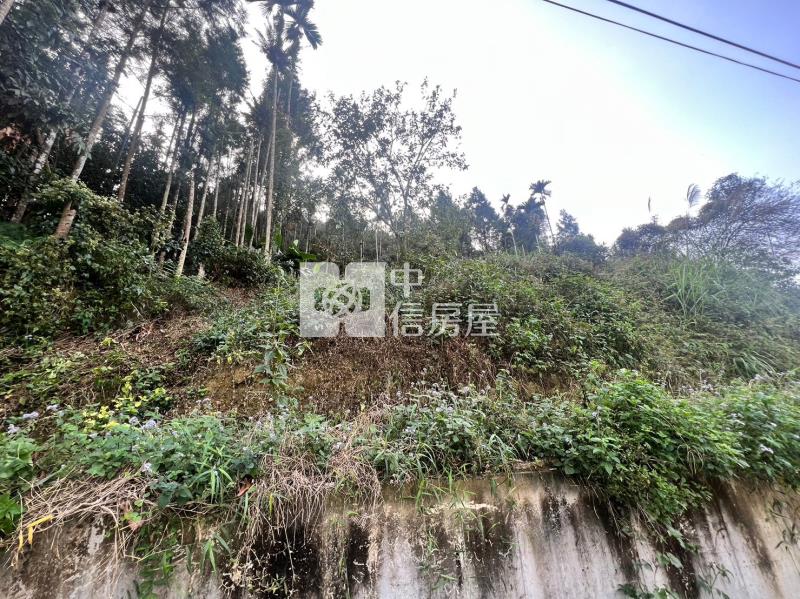 魚池小農地房屋室內格局與周邊環境
