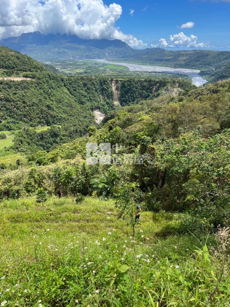 台東鹿野原住民保留區農地房屋室內格局與周邊環境