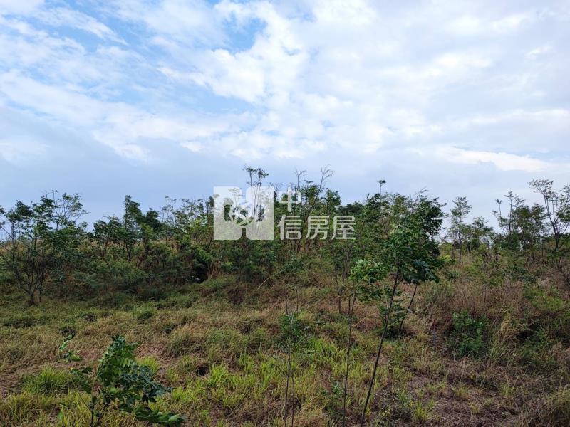 南區永成路二段農地房屋室內格局與周邊環境