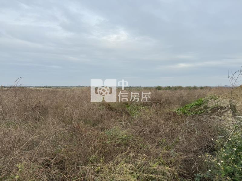 城西段都計農地房屋室內格局與周邊環境