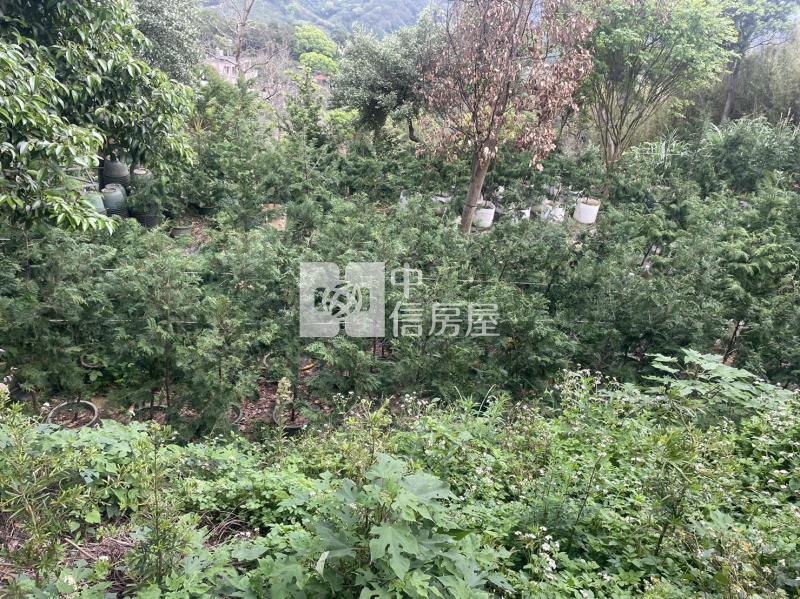 (永創團隊)新竹新埔開心農地1房屋室內格局與周邊環境